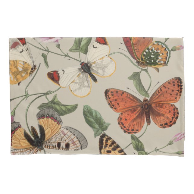 Housse D'oreillers Collection de la papillon Moth Nature Dessin (devant)