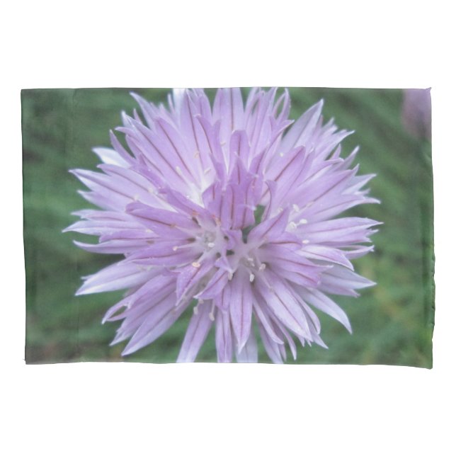 Housse D'oreillers Coque Coussin (devant)