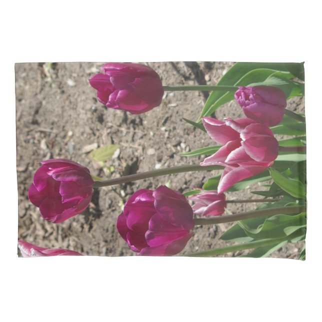 Housse D'oreillers Coque coussin de Tulips violets (devant)