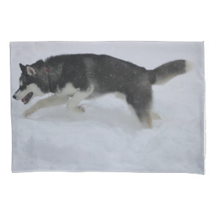 Housse D'oreillers Coque Coussin Husky
