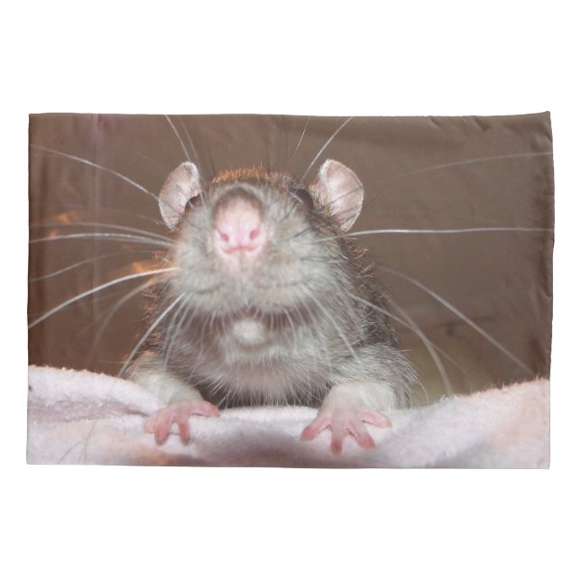 Housse D'oreillers coque de coussin de rat (Dos)