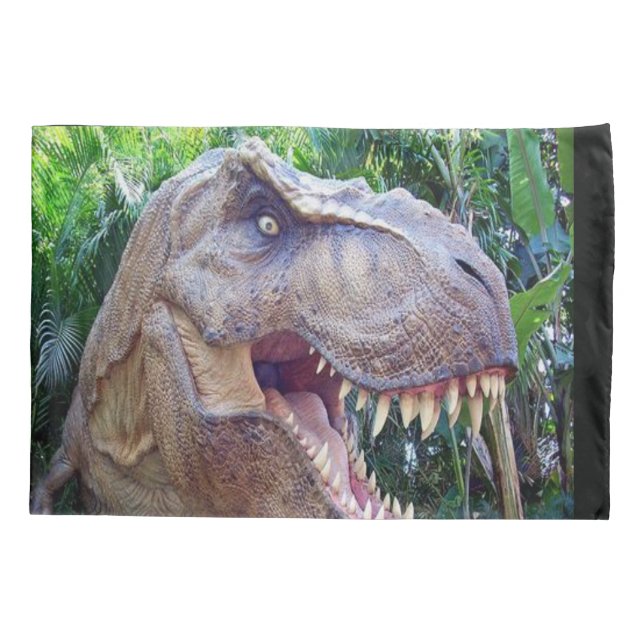 Housse D'oreillers Coques coussins Dinosaur pour enfants CH (Dos)