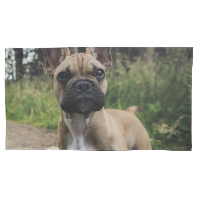 Housse D'oreillers Coussin de lancer Bouledogue Français (devant)