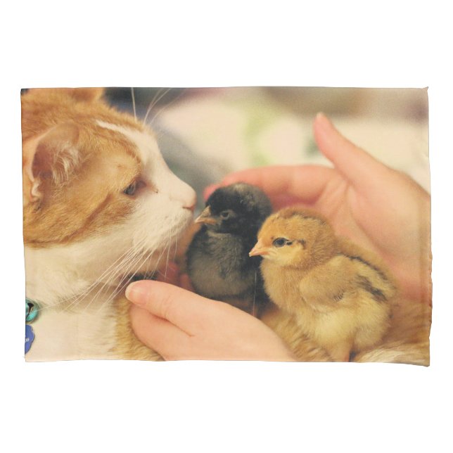 Housse D'oreillers Cubes (devant)