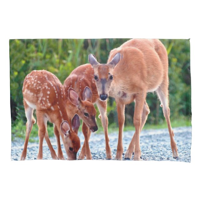 Housse D'oreillers Cutest Baby Animals | Fawn with Babies (devant)
