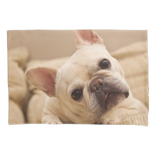Housse D'oreillers Cutest Baby Animals   French Bulldog Head Tilt