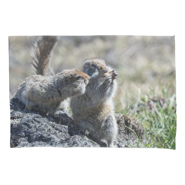 Housse D'oreillers Deux écureuils moulus mignons (Gopher, evrazki) (devant)