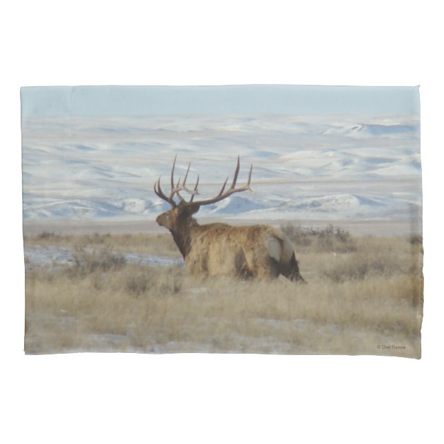 Housse D'oreillers E22 Bull Elk et Snowy Hills (devant)