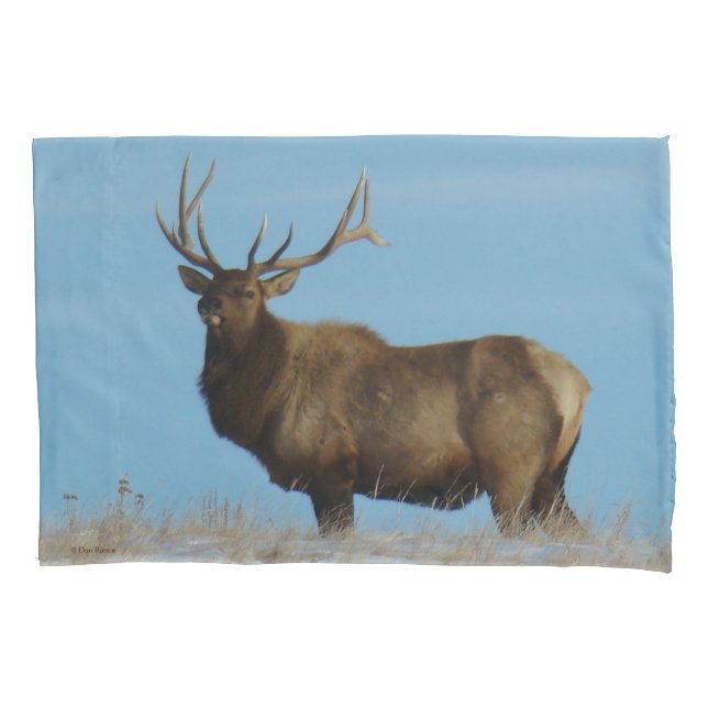 Housse D'oreillers E62 Bull Elk Sky Lined (devant)