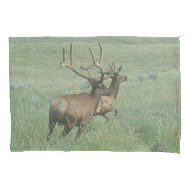 Housse D'oreillers Elk taureau E56 en velours (devant)