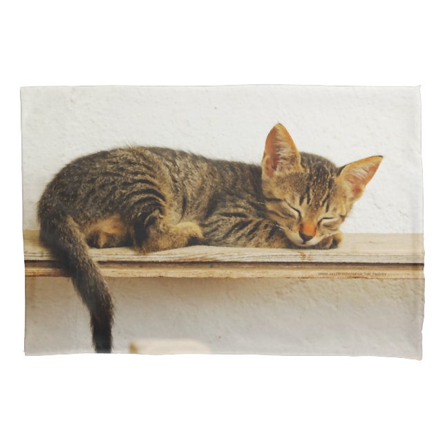 Housse D'oreillers Faites une sieste de chat avec un chat ! (devant)