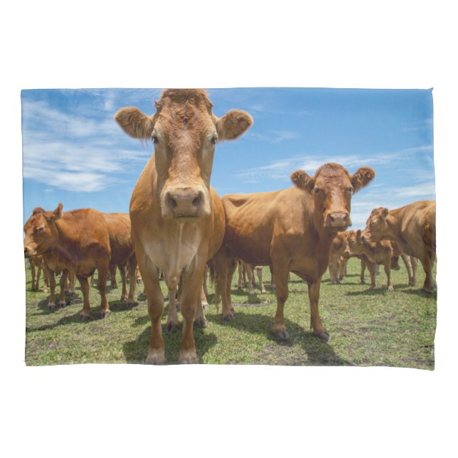 Housse D'oreillers Farms | Brown cow (devant)
