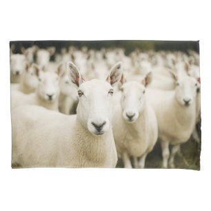 Housse D'oreillers Fermes   Troupeau de moutons