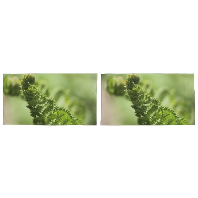 Housse D'oreillers Fern Shams (devant-Set)