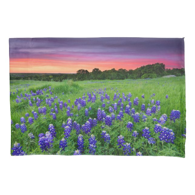 Housse D'oreillers Fleurs | Bluebonnets à Sunset Texas (devant)