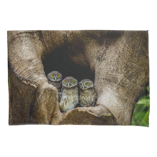 Housse D'oreillers Forests | Three Owls Looking (devant)