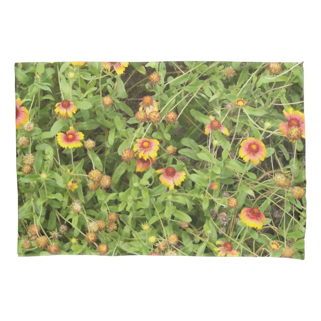 Housse D'oreillers Gaillardia / Fleurs de couverture (devant)