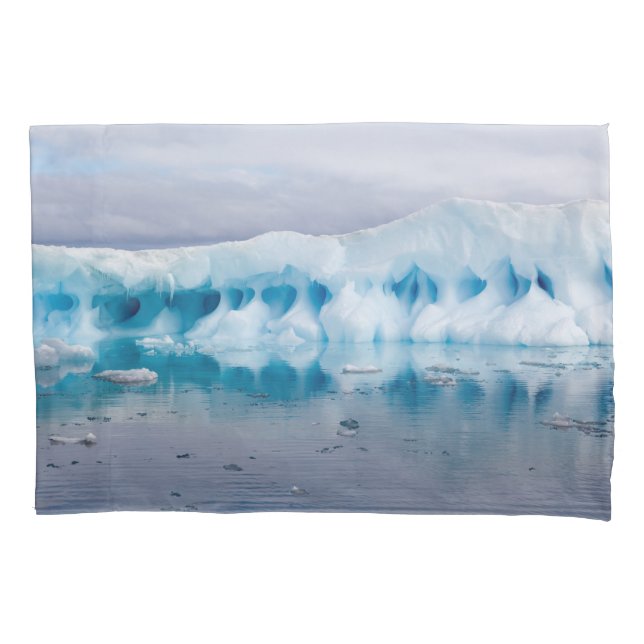 Housse D'oreillers Glace en Antarctique (devant)