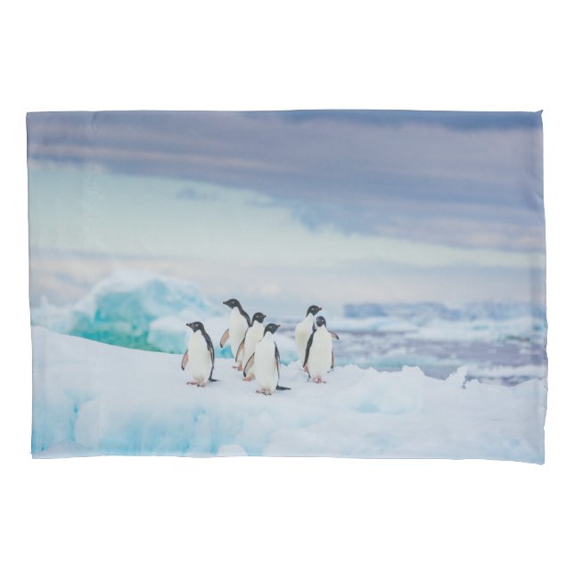Housse D'oreillers Glace et neige | Adelie Penguins Antarctique (devant)