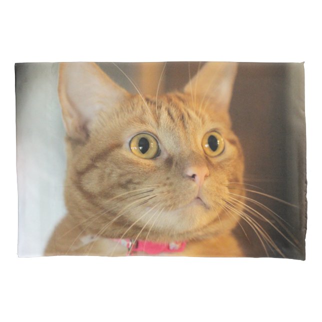 Housse D'oreillers Joli Penny (devant)