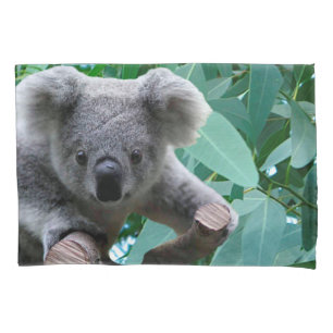Housse D'oreillers Koala et eucalyptus