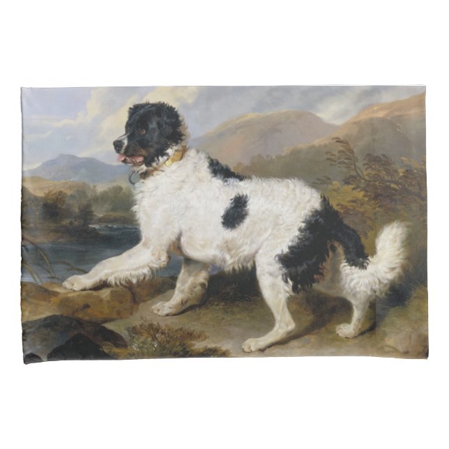 Housse D'oreillers Landseer Newfoundland Dog (animal noir et blanc) (devant-Droit)