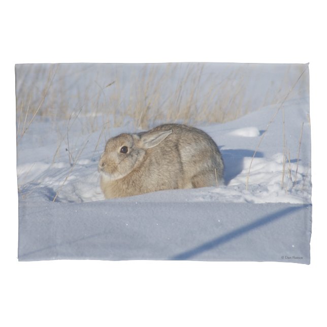 Housse D'oreillers Lapin Cottontail R5 dans la neige (devant)