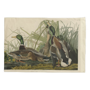 Housse D'oreillers Le canard colvert des oiseaux d'Amérique d'Audubon