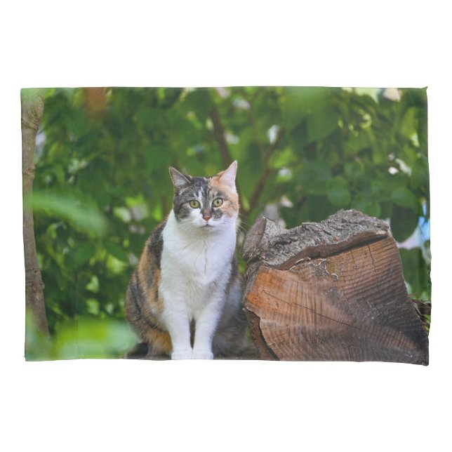 Housse D'oreillers Le chat   (devant)