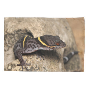 Housse D'oreillers Le gecko de Lichtenfelder