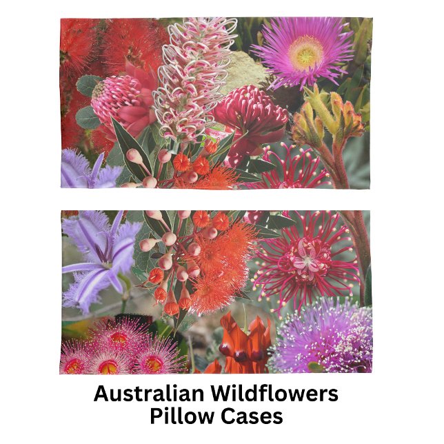 Housse D'oreillers Le roi des fleurs sauvages autochtones d'Australie (Créateur téléchargé)