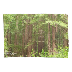 Housse D'oreillers Les séquoias au monument national de Muir Woods