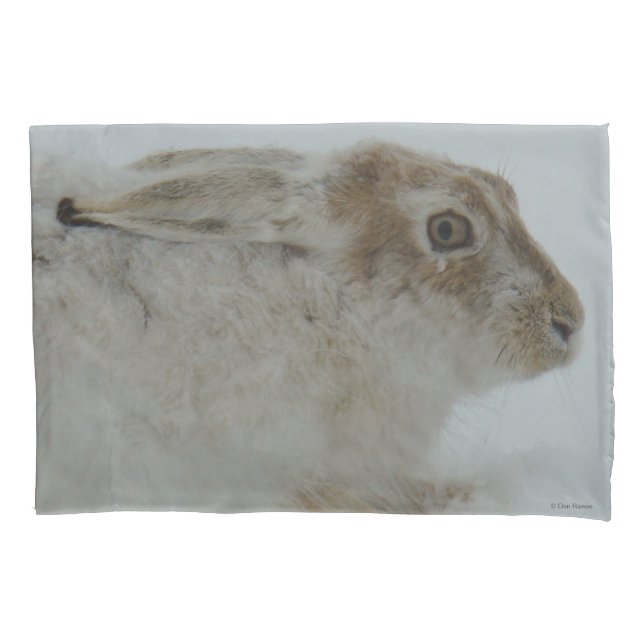Housse D'oreillers Lièvre de raquette R11 (devant)