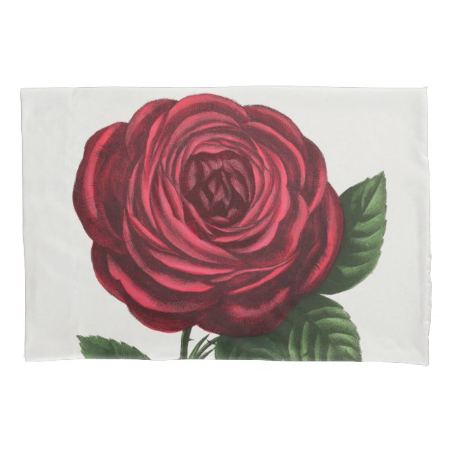 Housse D'oreillers Lithographie de rose antique, François-Frédéric Gr (devant)