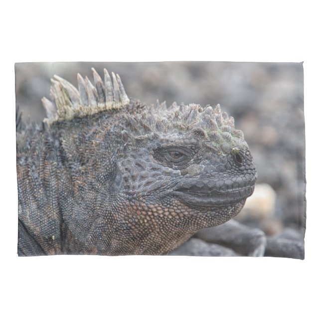 Housse D'oreillers Marine Iguana (devant)