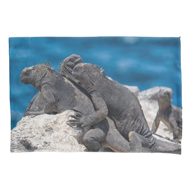 Housse D'oreillers Marine Iguana (devant)