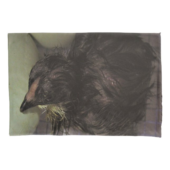 Housse D'oreillers Minutes (devant)