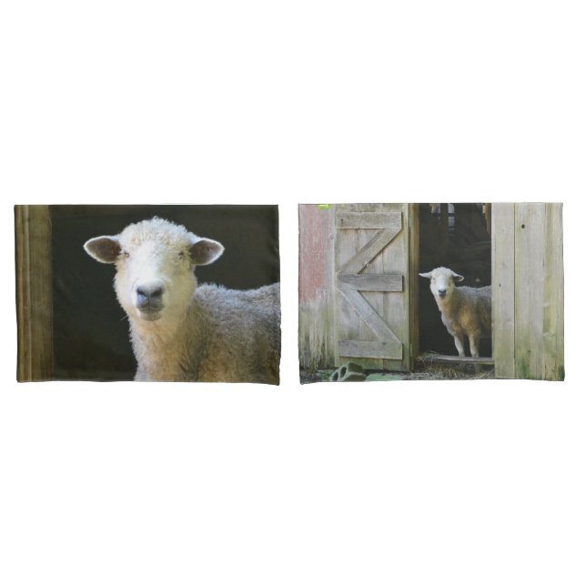 Housse D'oreillers Mouton de campagne (devant-Set)