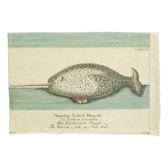 Housse D'oreillers Narwhal Antique Baleine Aquarelle Art scientifique (devant)