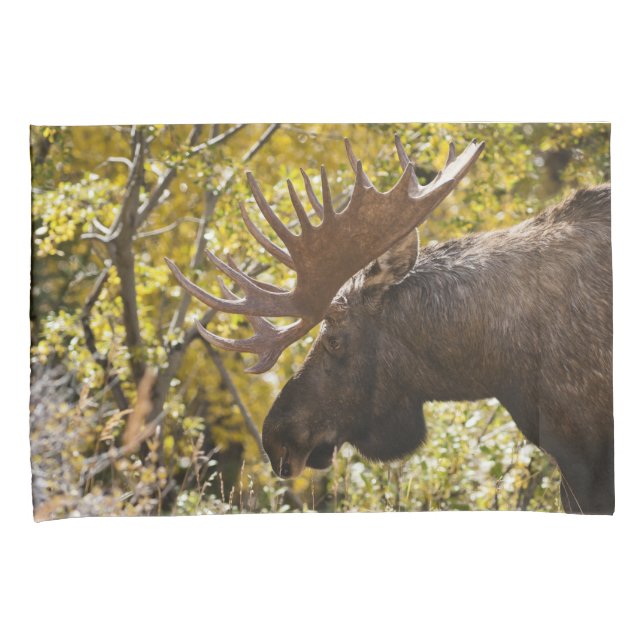Housse D'oreillers Noble taureau (devant-Droit)
