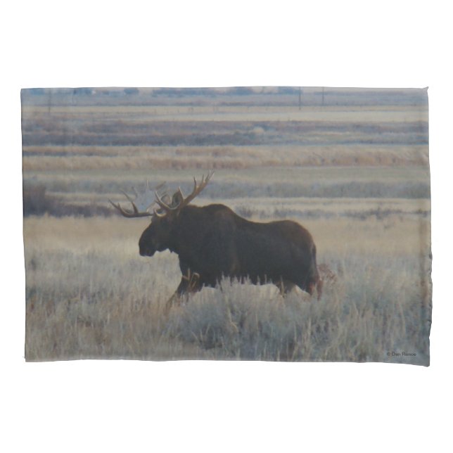 Housse D'oreillers Orignal mâle M2 dans les Prairies (devant)