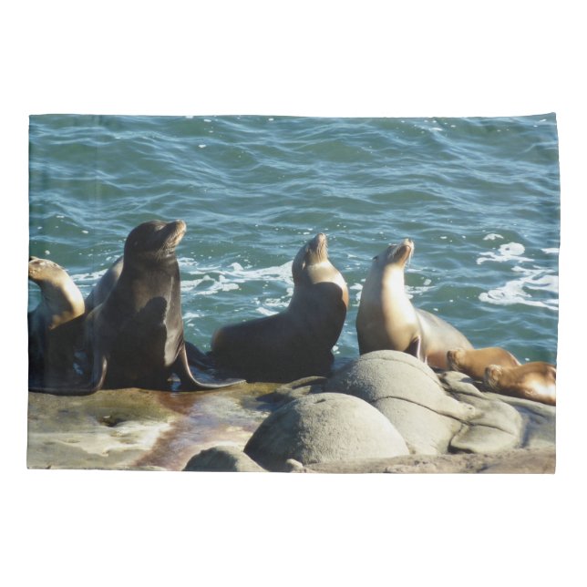 Housse D'oreillers Otaries de San Diego (Dos)