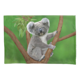Housse D'oreillers Ours de koala aux yeux bleus de bébé