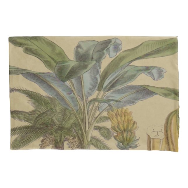 Housse D'oreillers Palm Antique Fruit Tropical Art Botanique (devant)