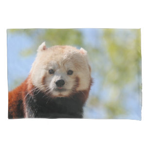 Housse D'oreillers Panda rouge