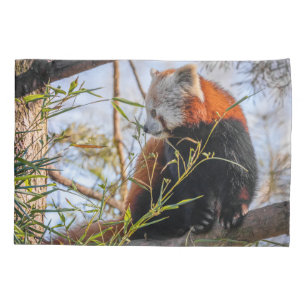 Housse D'oreillers Panda rouge