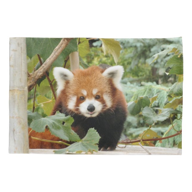 Housse D'oreillers Panda rouge (Dos)