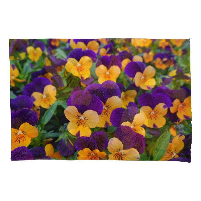 Housse D'oreillers Pansy Bloom : Garden Beauty Gros plan. (devant)