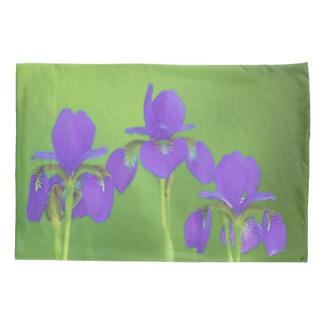 Housse D'oreillers Peinture Iris Violet - Art Fleur Originale (Dos)