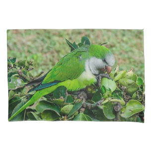 Housse D'oreillers Perroquet vert